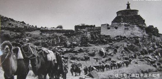 武侠|六大门派围攻光明顶,明教义军按兵不动,武侠版藩镇割据了解一下