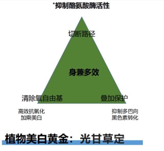 vc|美白的路上踩坑