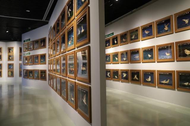 乌梁素海|“大美乌梁素海·鸟类生态艺术作品展”18日在内蒙古自然博物馆开展