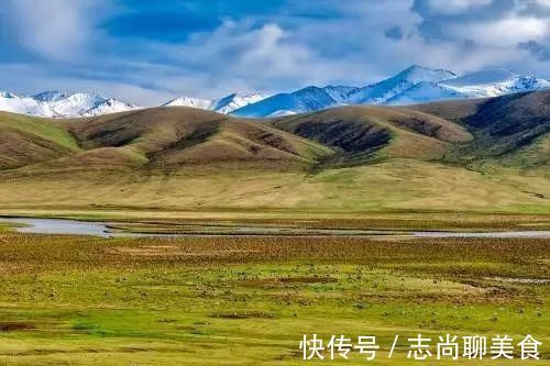 鸟类|中国最美六大沼泽湿地，养在深闺无人识，去过的都惊叹不已