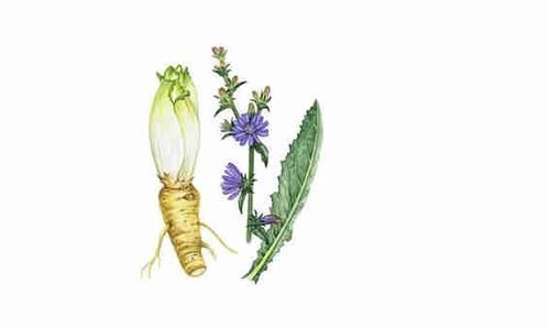 脂肪肝|肝不好的人,身体三处会变“臭”,养护肝脏,牢记:“3多4少”