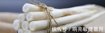 淤泥|淤泥中一种野菜，长得像藕带，离水后很快就老！
