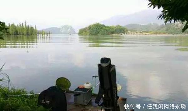 鱼群|冬季钓鲫鱼，避开这四种钓位，这里下钩10有9空！