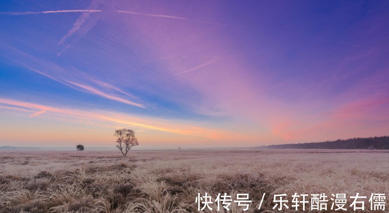 山露水|修炼城府,从不勾心斗角的星座,知世故而不世故,格局观看得高远