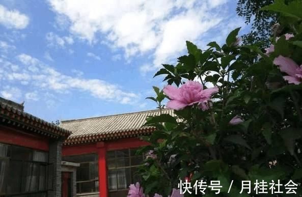 健康食品|农村房子土？那是没见过我改造的农家别院，土豪出300万我都不卖