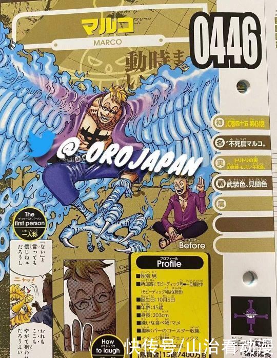 海贼王|海贼王官方情报：罗杰的佩刀名为艾斯，小马哥悬赏金13亿，太少了