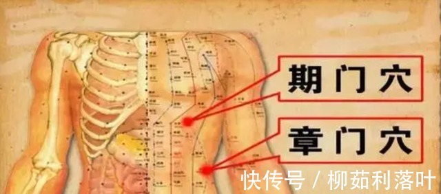 期门穴|57岁大哥喝酒32年，肝脏依旧健康红润，或是因为酒后2件事做得好！