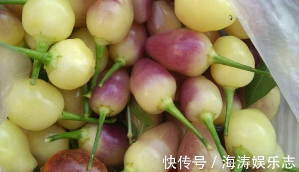 大妈|女人不想当大妈,4种“食物”要舍得吃,色斑淡化,体重也变轻