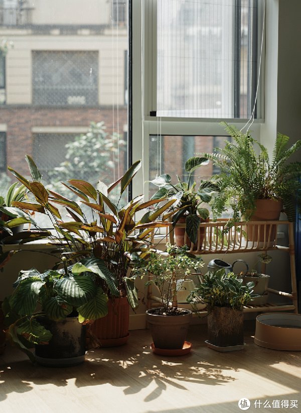 干净|房子住了3年,80后阿姨的家“干净如初”,参观她家,我也学会了