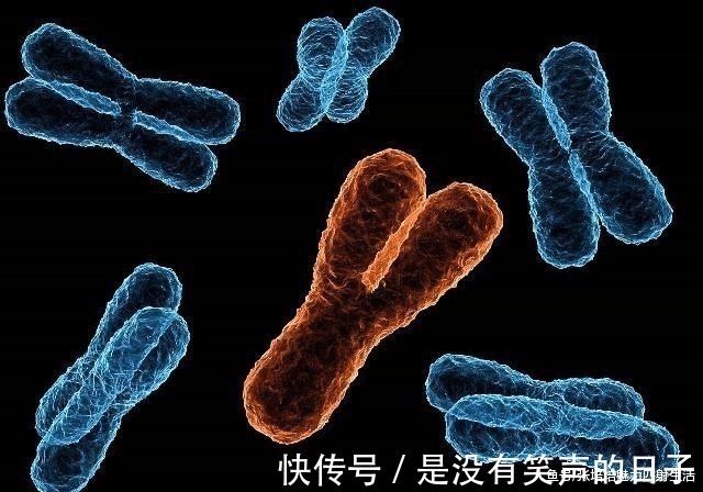 y染色体|为何现在的夫妻,生的多数是男孩三个原因,你知道几个