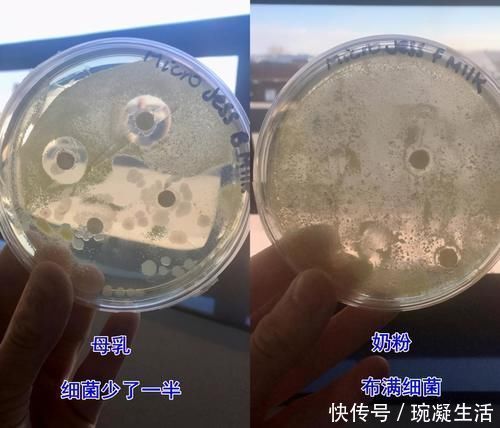 孩子|母乳到底有多“神奇”?一个实验为你揭晓答案,你可别小瞧了它