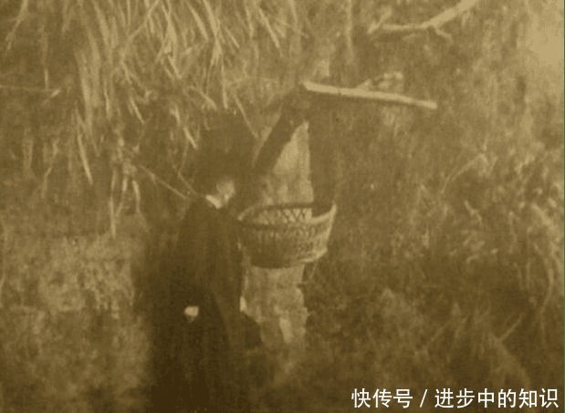 弃婴|晚清的“弃婴塔”到底多残忍任由婴儿自生自灭,成一道荒野奇观