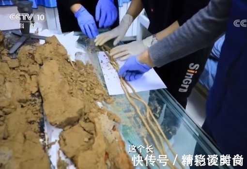 吐谷浑!现实中的九层妖塔,大量宝贝重见天日,专家连连直呼:好东西