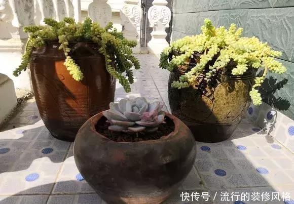 花盆还在买?一找一大堆,1毛钱不花,比买的花盆还要好