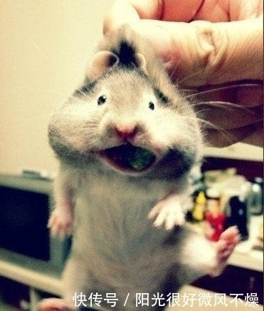 |幽默笑话:別人说我心狠手辣,我舔了一下自己的手,给辣哭了!