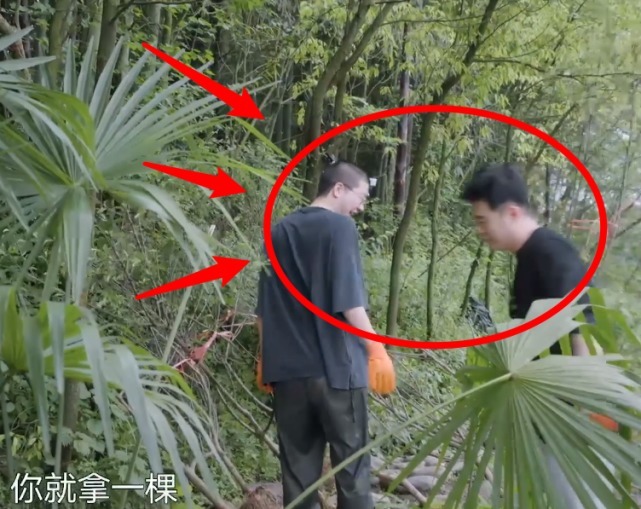 节目组 陈赫李诞做客向往的生活,两个懒王合体,网友直呼节目组请错人