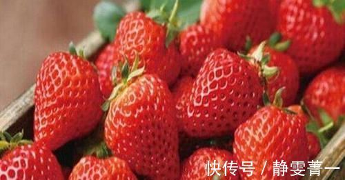 挥发性精油|入冬后,多吃三种养生食物,腰不疼,腿不酸,赶走体内湿气