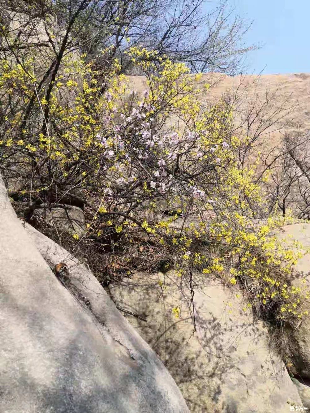 打卡莲花山