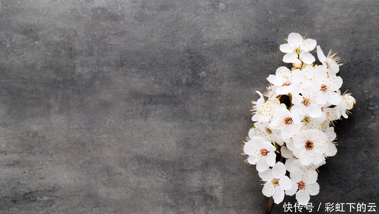 享受|享受孤独,也是一种成长