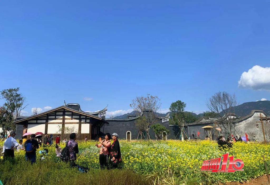 老年|假期余额不足，快去赏花！（附攻略）