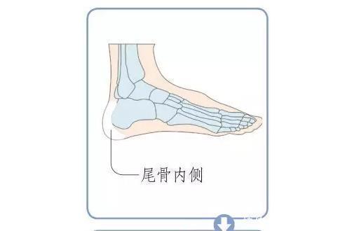 足底|揭秘足底养生密码10个特效反射区,活血通络补五脏,通调全身病