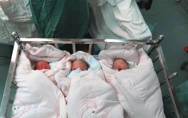 户口|修姓爸爸给3胞胎取名“用力过猛”,上户口时,工作人员哭笑不得