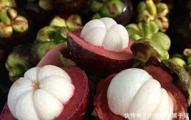 果农|买山竹,不管大小就挑“母”的,果农记住这4点,一挑一个准