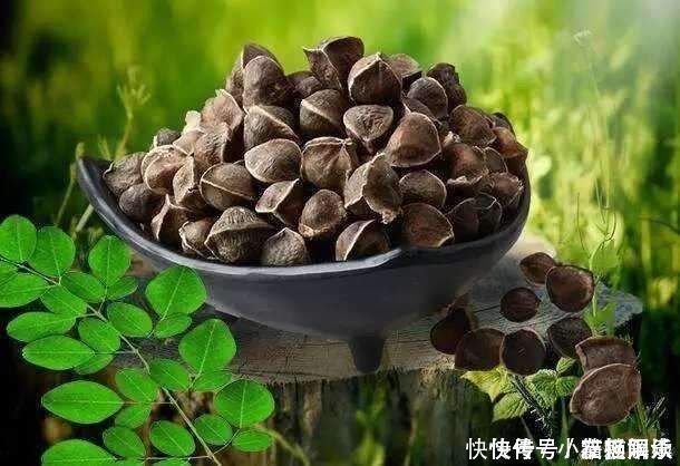 养肝排毒|天然“强肝剂”找到了，经常喝一点，养肝排毒，肝脏一天比一天好