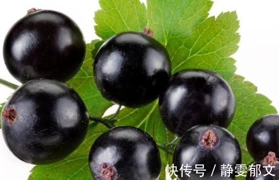 黑加仑|专家常吃此果子,降血压,延缓衰老、保护视力、保护肝脏