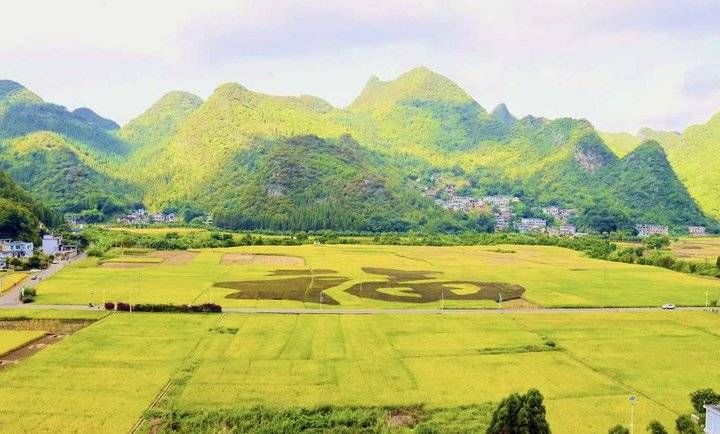 岳父|青未了/岳母是个哲学家