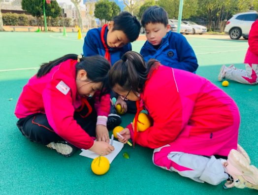 五年级|杭州春芽实验学校： “柚”遇见美好——春芽柚子节