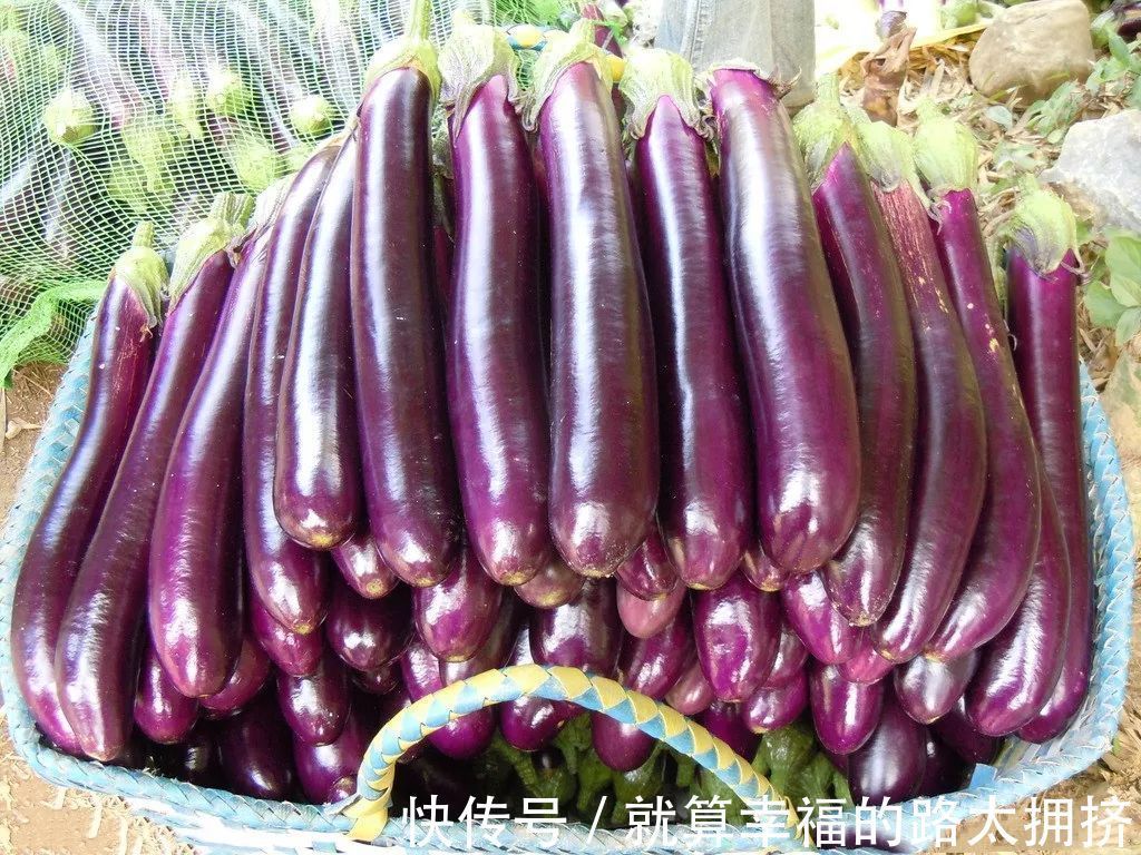 立秋后遇上此菜别手软，才几毛1斤，多买点囤起来，从秋吃到冬