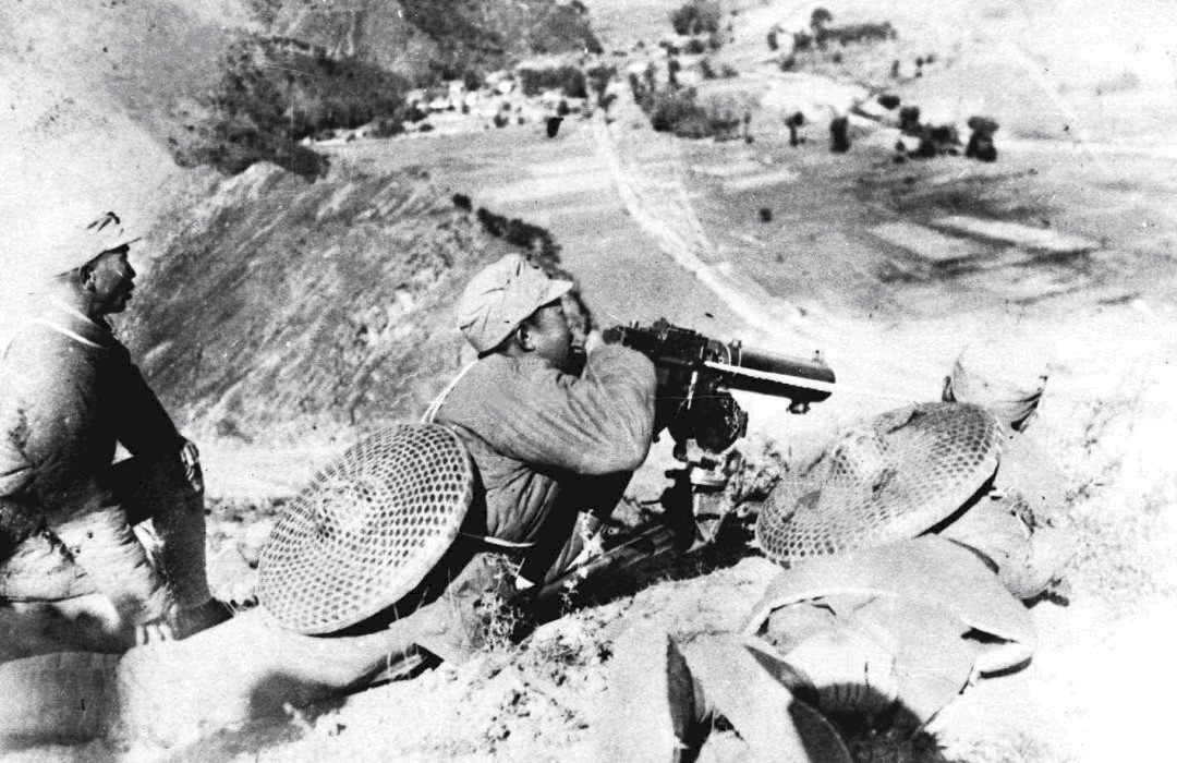 日本|日本培养一种像狼一样的动物,我军伤亡惨重,训练土狗与其抗衡