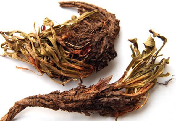 很大|这种植物是火锅调味料之一,市场需求很大,目前市场价35元一斤