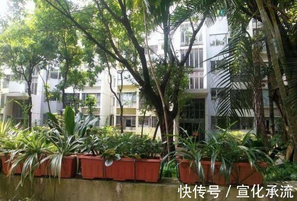 高楼层|买电梯房要注意了,这2个楼层切记不要买,我家住半年就知有多坑