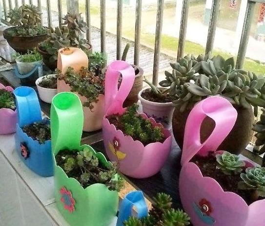 养花太''烧钱''用它们制作漂亮花盆栽种植物,乐趣多、实用