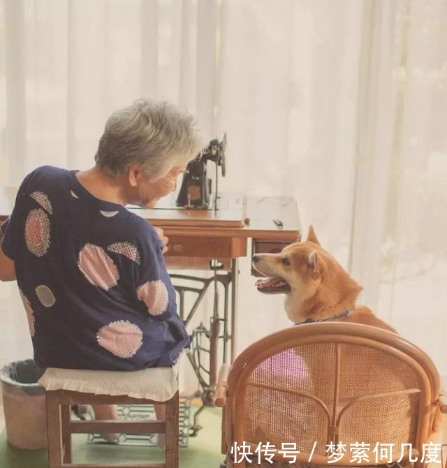日本老人的“晚年生活”,都有哪些精彩值得学习