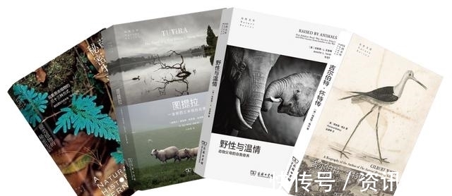 文化|历史、文化、传记……推荐几套内容丰富又精彩的人文社科好书