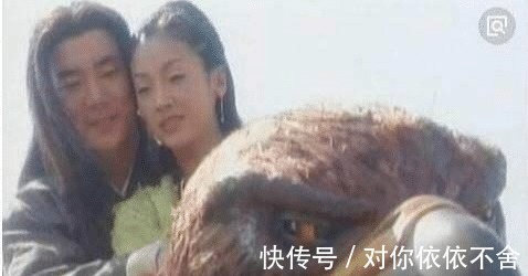 大雕#杨过的大雕最后去哪了倚天中早有暗示,结局让人难以接受!