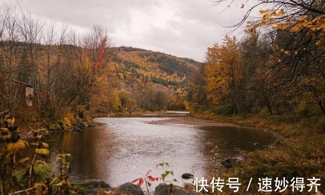 浪漫|平平淡淡才是真，细水长流才是爱，这几个星座只渴望天长地久的爱