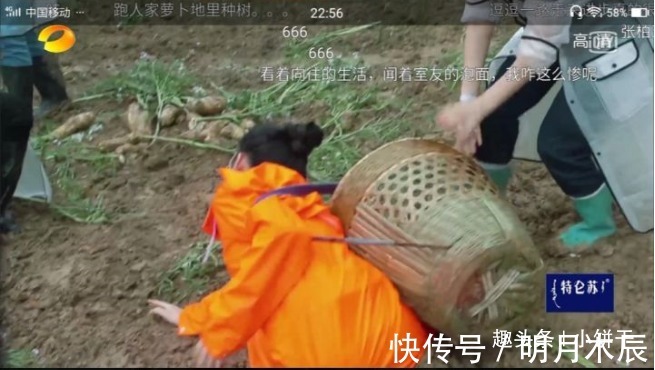 妹妹|向往的生活迎来最作女嘉宾，还把自己前途作没了