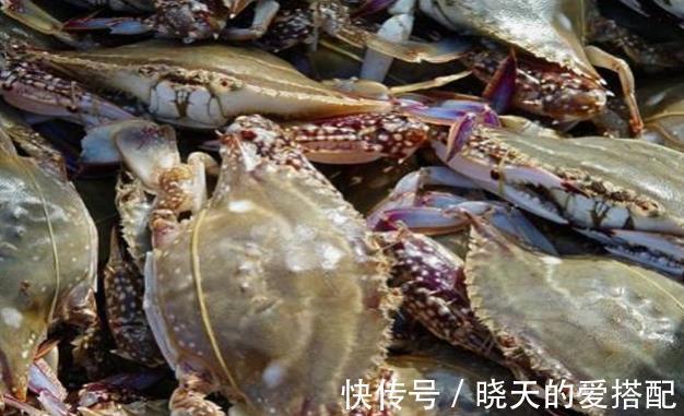 朋友们|买梭子蟹,别只会看大小!老渔夫教你三招,回回买到“精品蟹”!