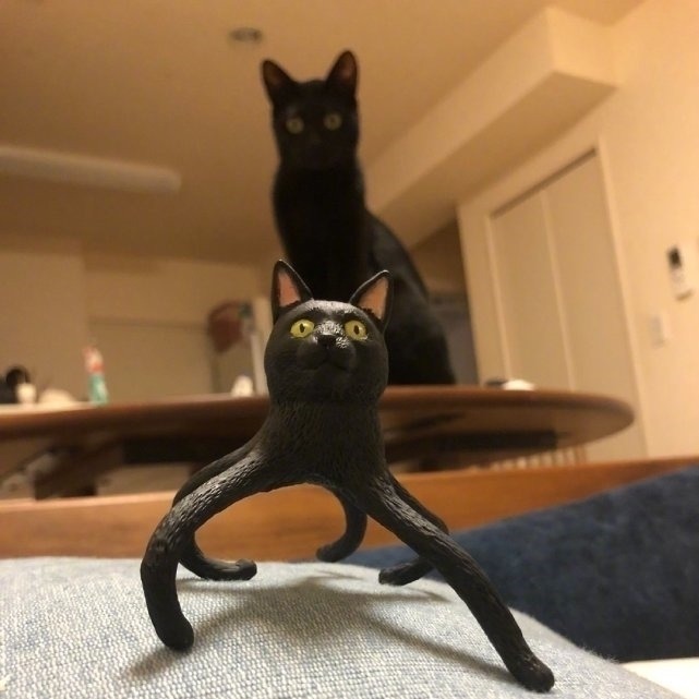 黑猫手办好似八爪鱼,网友建议将图5进一步手办化