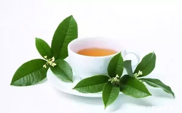 强效食补|排毒又润肺,这些食物您知道吗?收了吧!上火不愁!