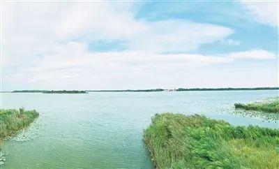 河北哪里有撒打地怎么加盟