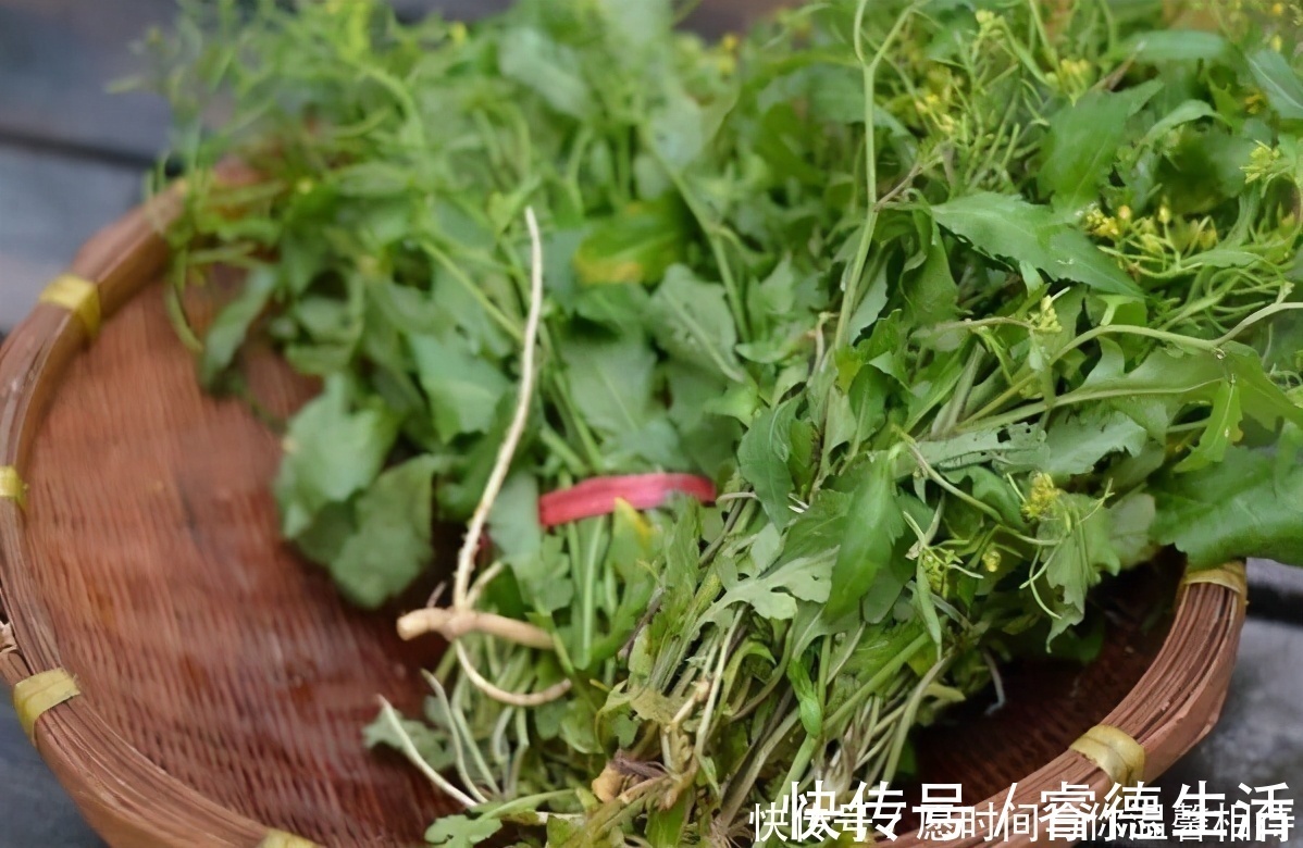 长寿|人到中年想长寿，要学会吃3种食物，补充营养，滋补身体