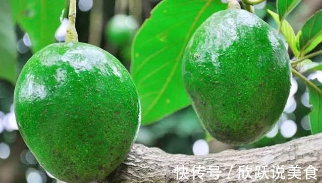 番茄|想长寿先排毒,不妨多吃3种食物,美容养颜、滋润肌肤!