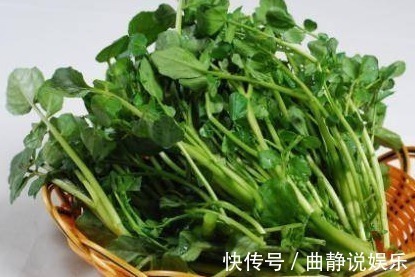 枸杞|入秋后每周吃一次此物,化痰又润肺,常吃身体好!