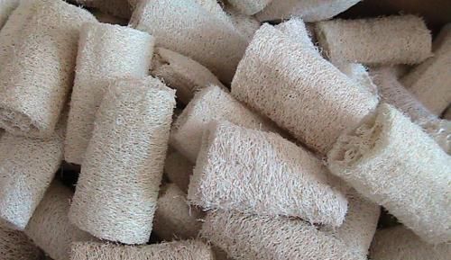 花盆里加这些东西,再也不怕花卉烂根黄叶了