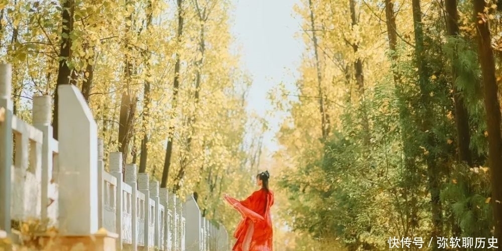 舍不得|忌(深度好文)